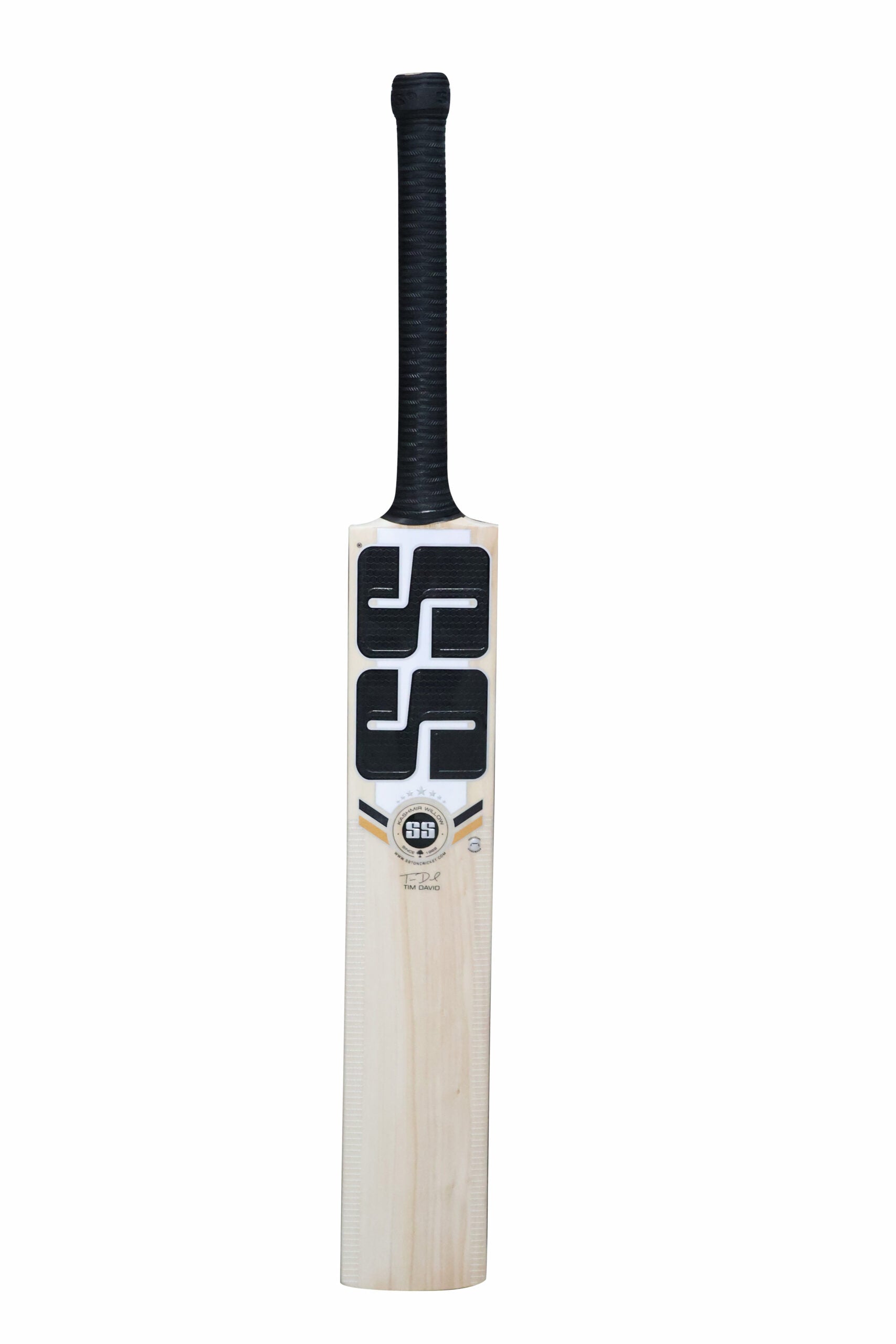SS Tim David Player Kashmir Willow Cricket Bat-SH
