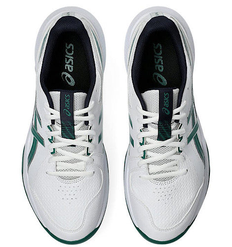 Asics Gel-Peake 3 Cricket Shoes (2026)