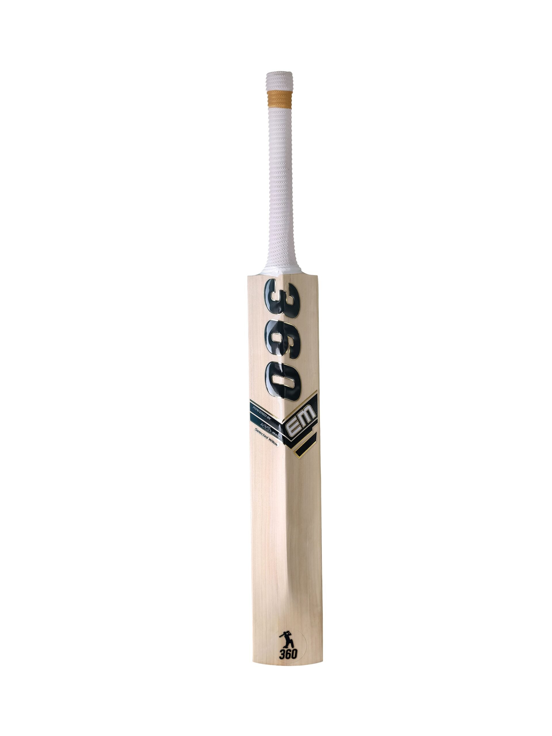 360 Number 17 Kashmir Willow