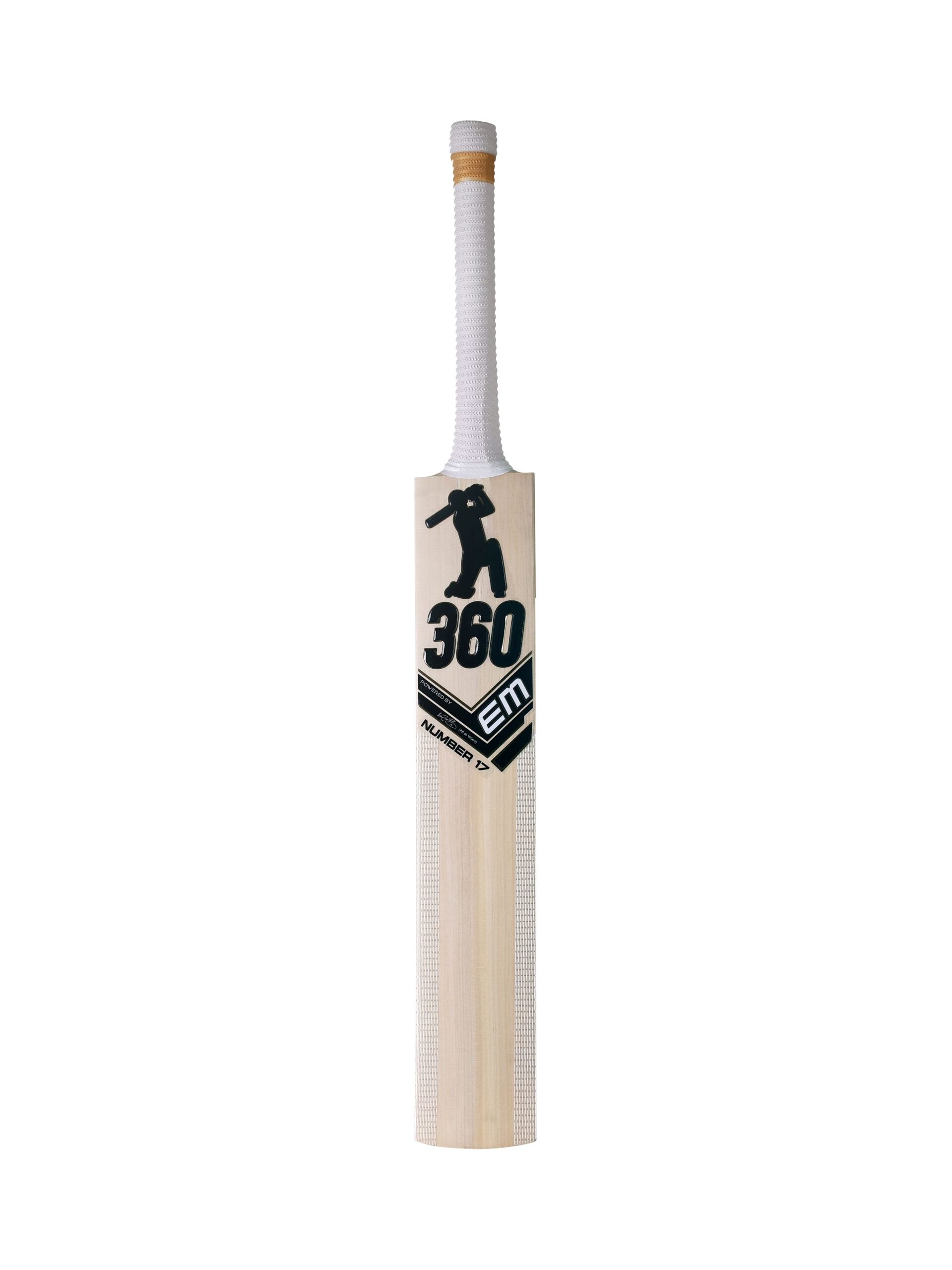 360 Number 17 Kashmir Willow