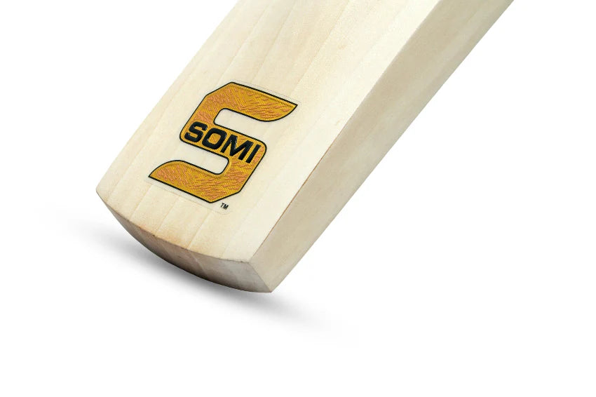 Somi Vision Cricket Bat
