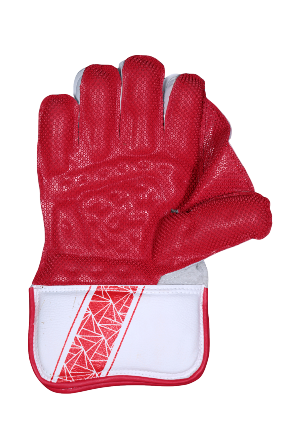 RNS Larson Wicket keeping Gloves Supremo