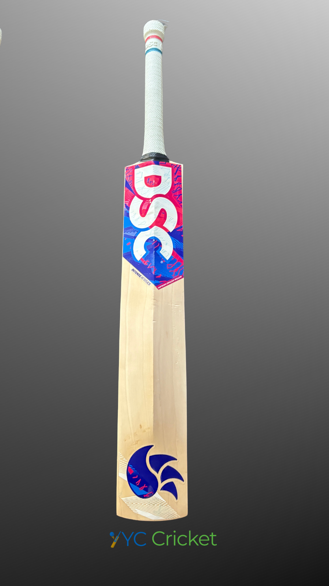 DSC Intense Attitude English Willow Cricket Bat