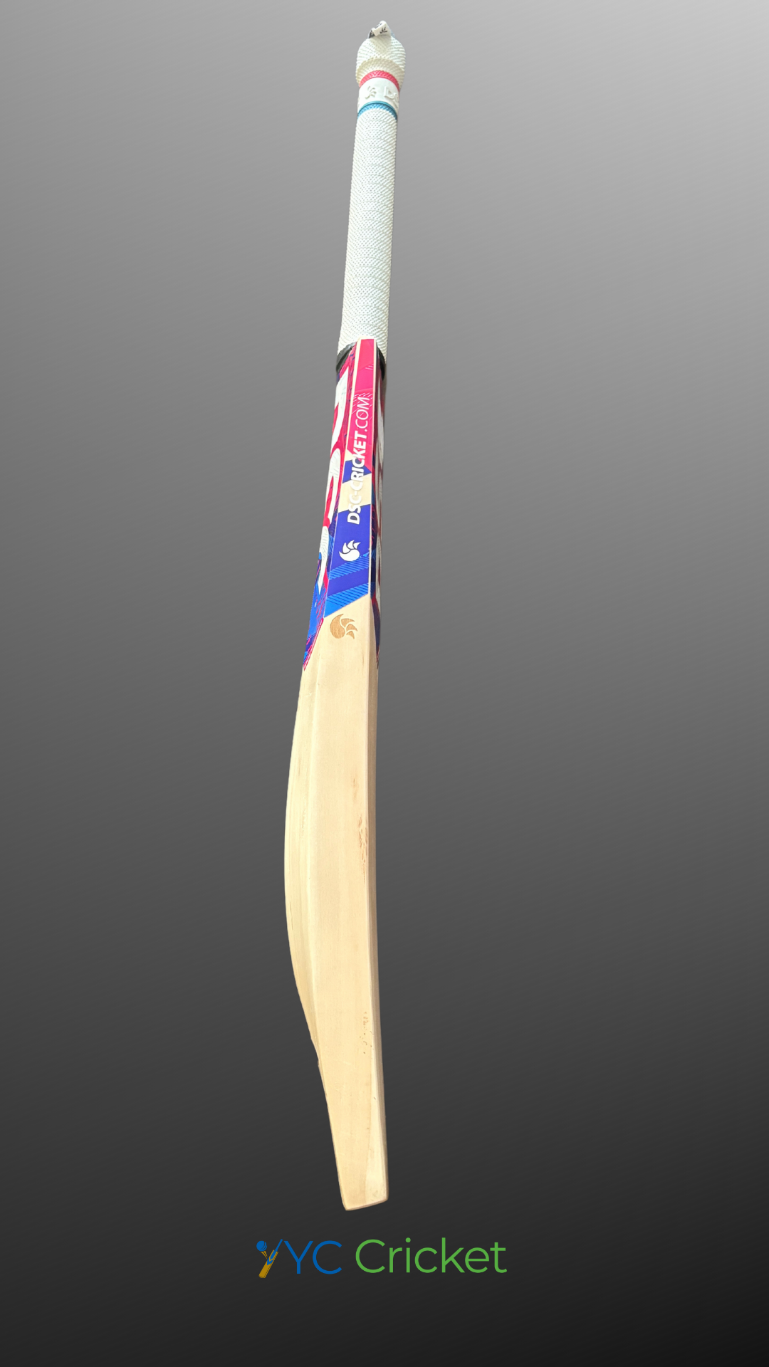 DSC Intense Attitude English Willow Cricket Bat
