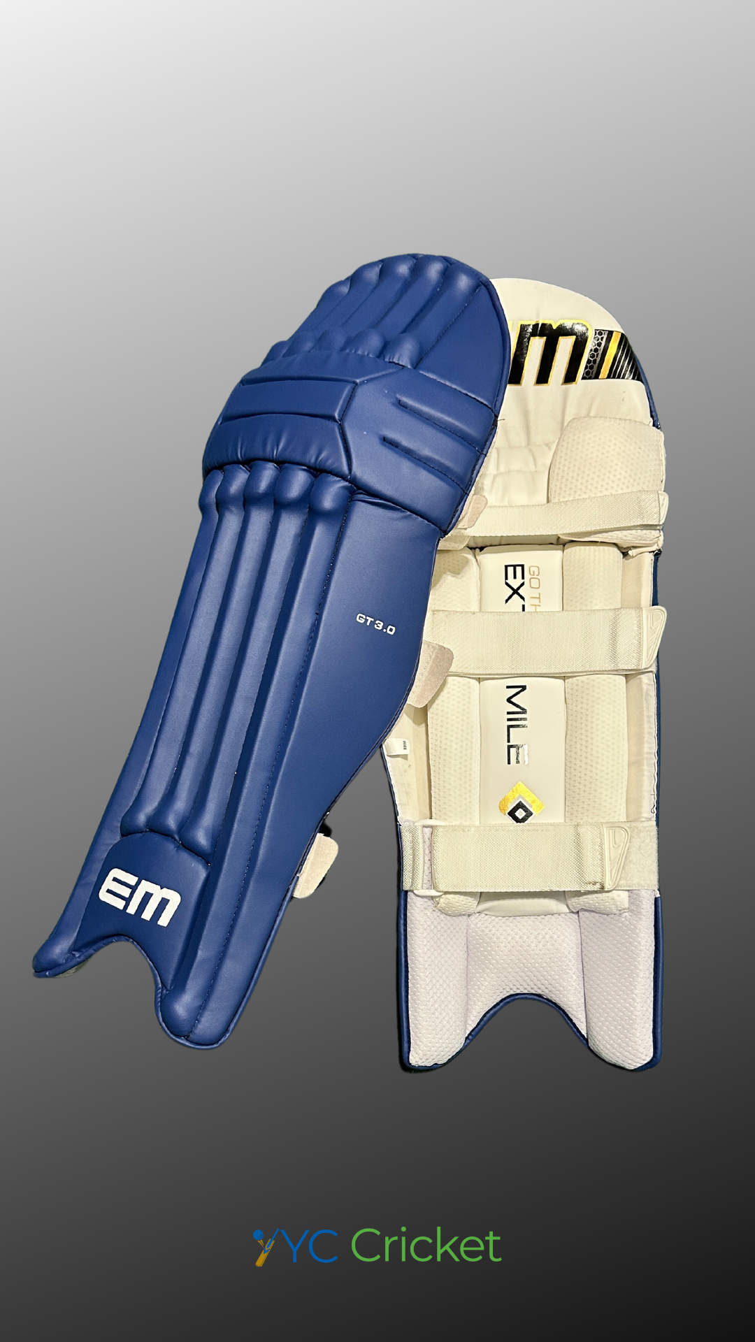 GT 3.0 BATTING LEGGAURD BLUE