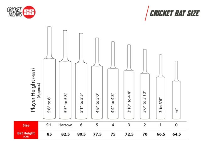 SS Sky Striker Kashmir Willow Cricket Bat (Junior Bat)