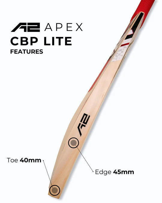 Apex Kashmir Willow Cricket Bat - CBP Lite
