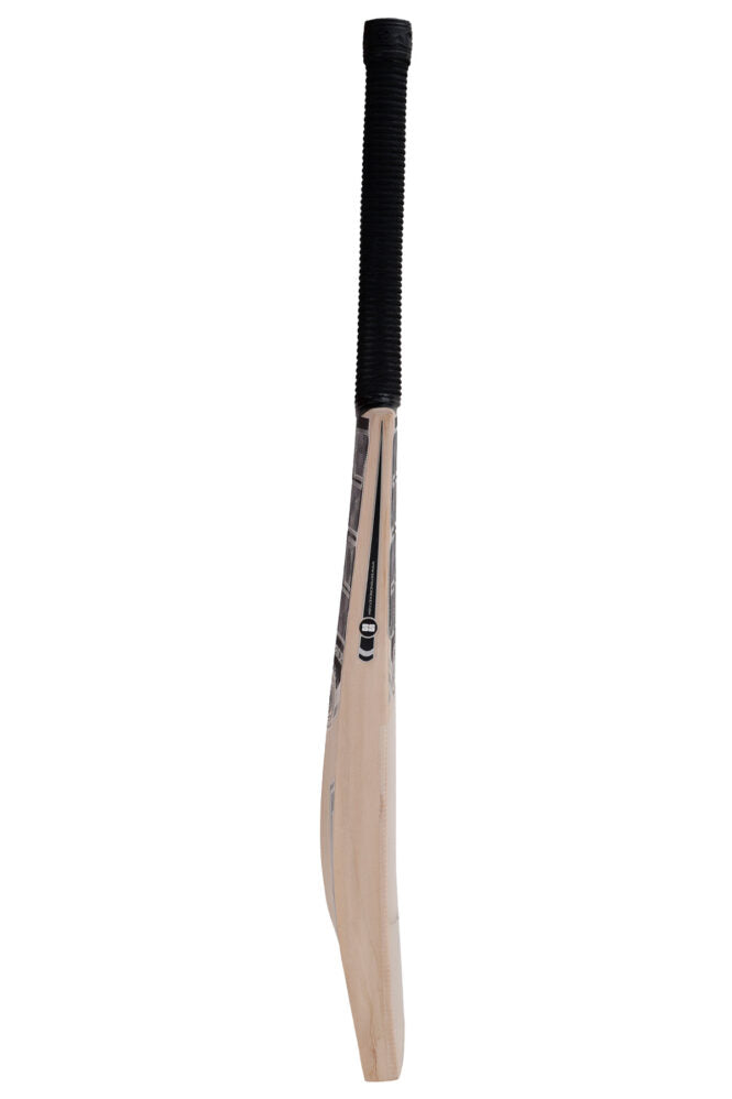SS premium Silver Kashmir Willow Cricket Bat -SH