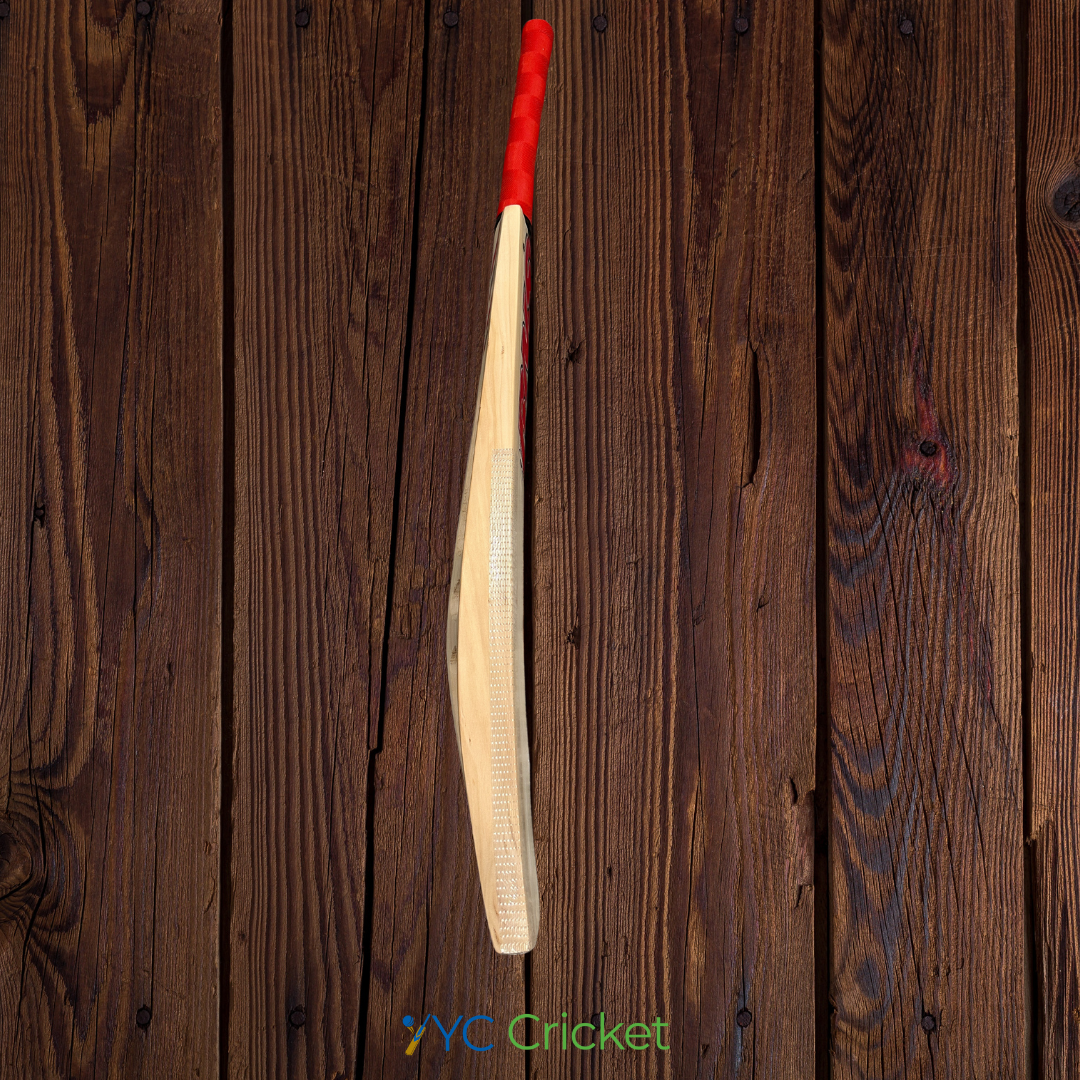 Thick Blade Scope Tennis Bats RNS T-20 Edition