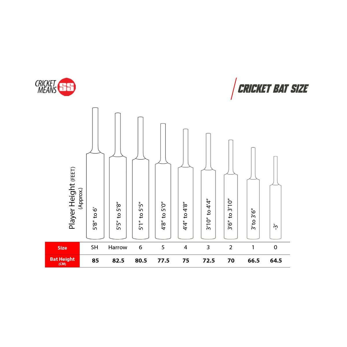 SS Master Kashmir Willow Cricket Bat (Junior)