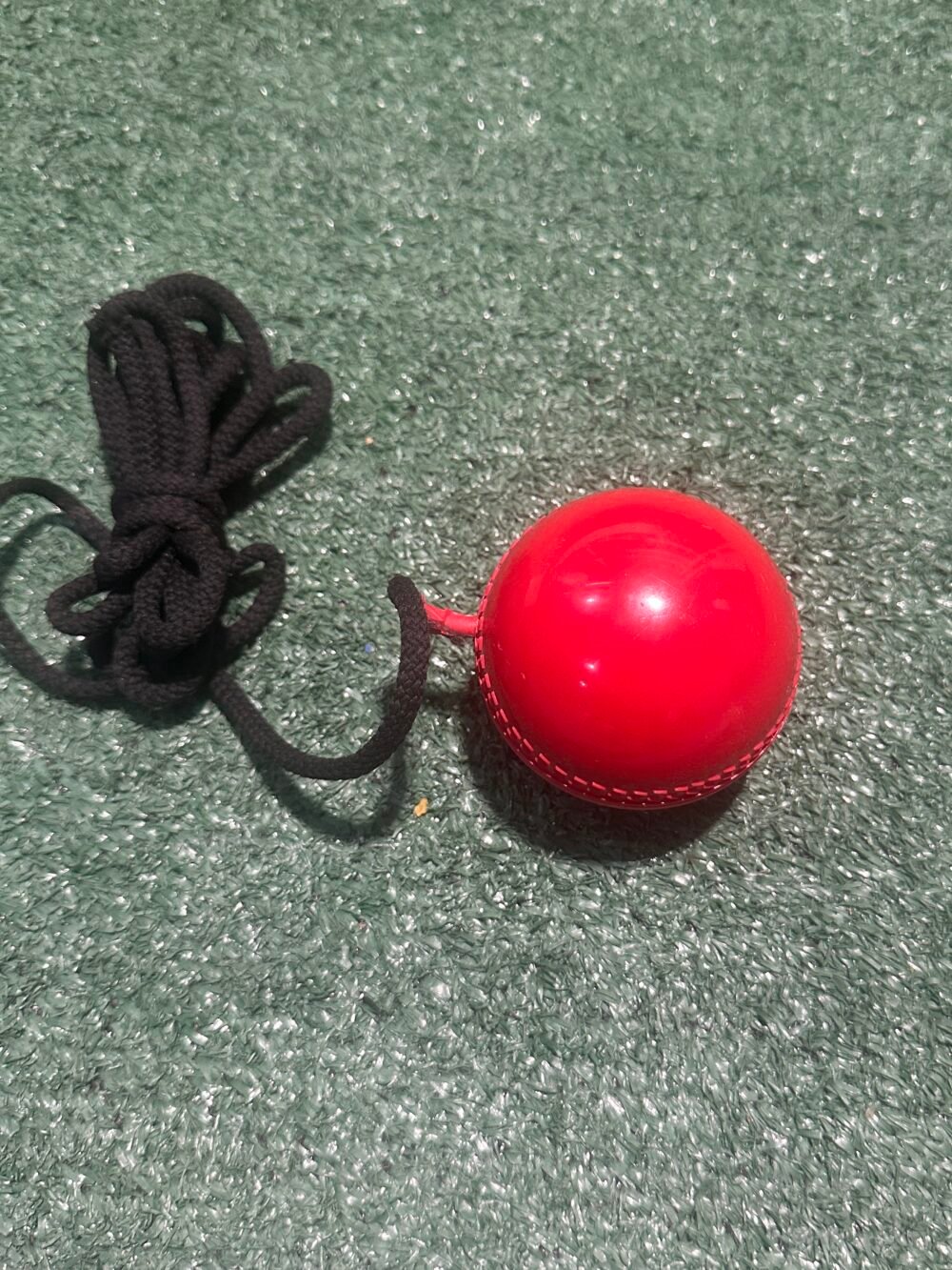 Cricket Training Ball with Cord